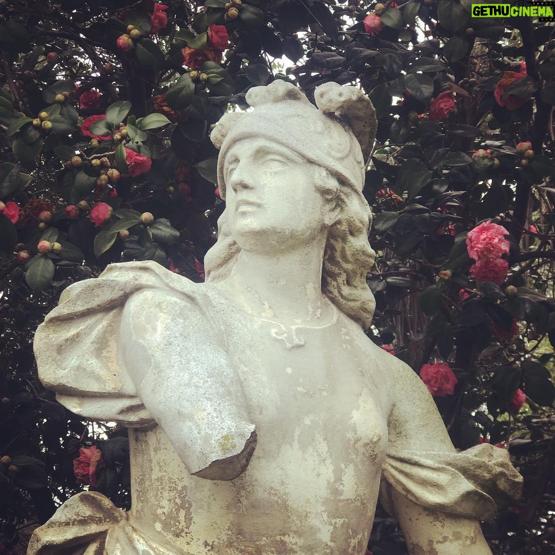 Alicia Goranson - 1.6K Likes - The Huntington: Where Humans and Nature Agree