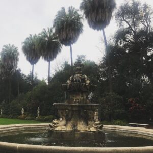 Alicia Goranson Instagram - The Huntington: Where Humans and Nature Agree
