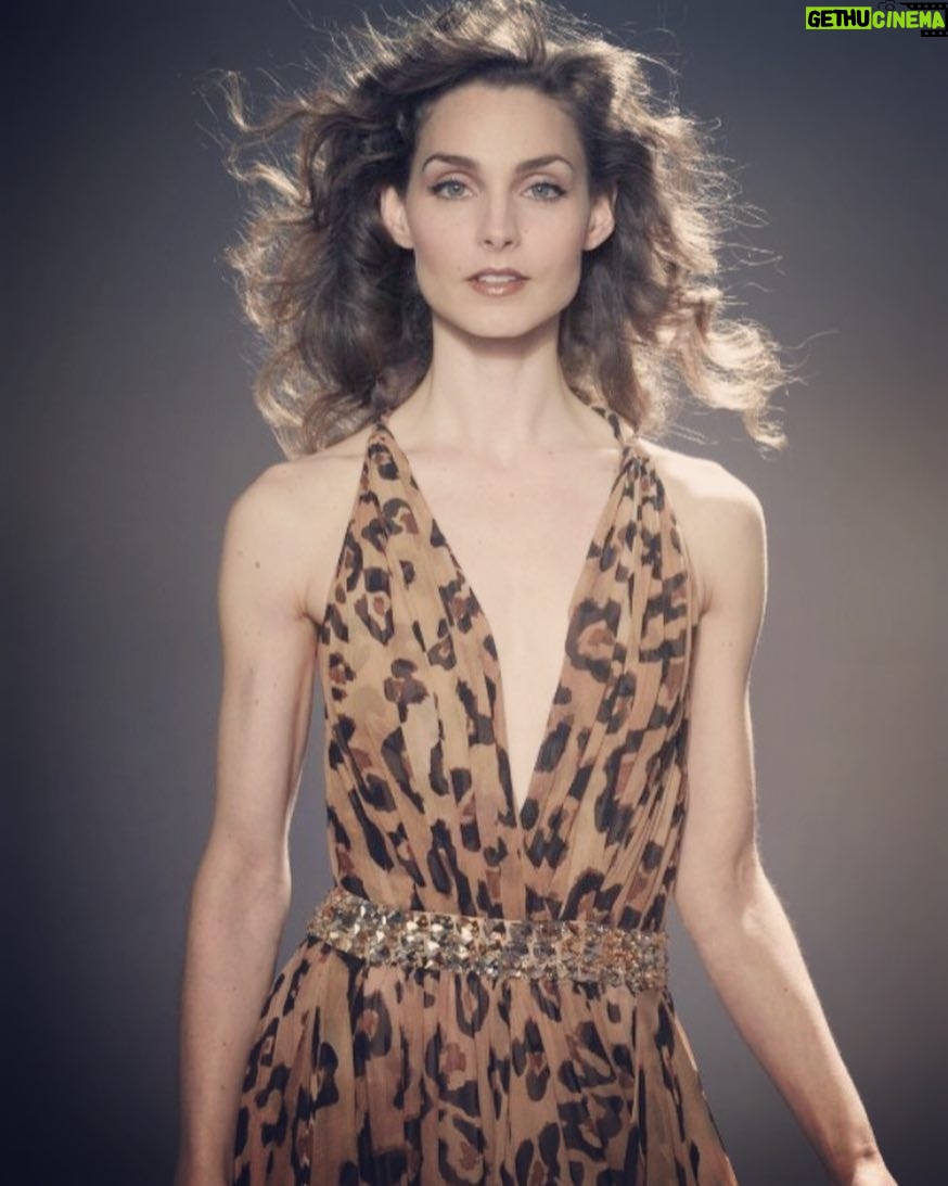 Alicia Minshew - 1.2K Likes - #flashbackfriday to right before I grew boobs-- courtesy of Willow's birth. 🤣🤘 #robertocavalli dress -check! Fan blowing hair- check! Body of a 12 year old boy- check! 🤗Another fun shoot with @barryhollywood and @carlosdavisfashion. That dress was everything. #fbf #cavalli #fashion #animalprint #photoshoot #perky