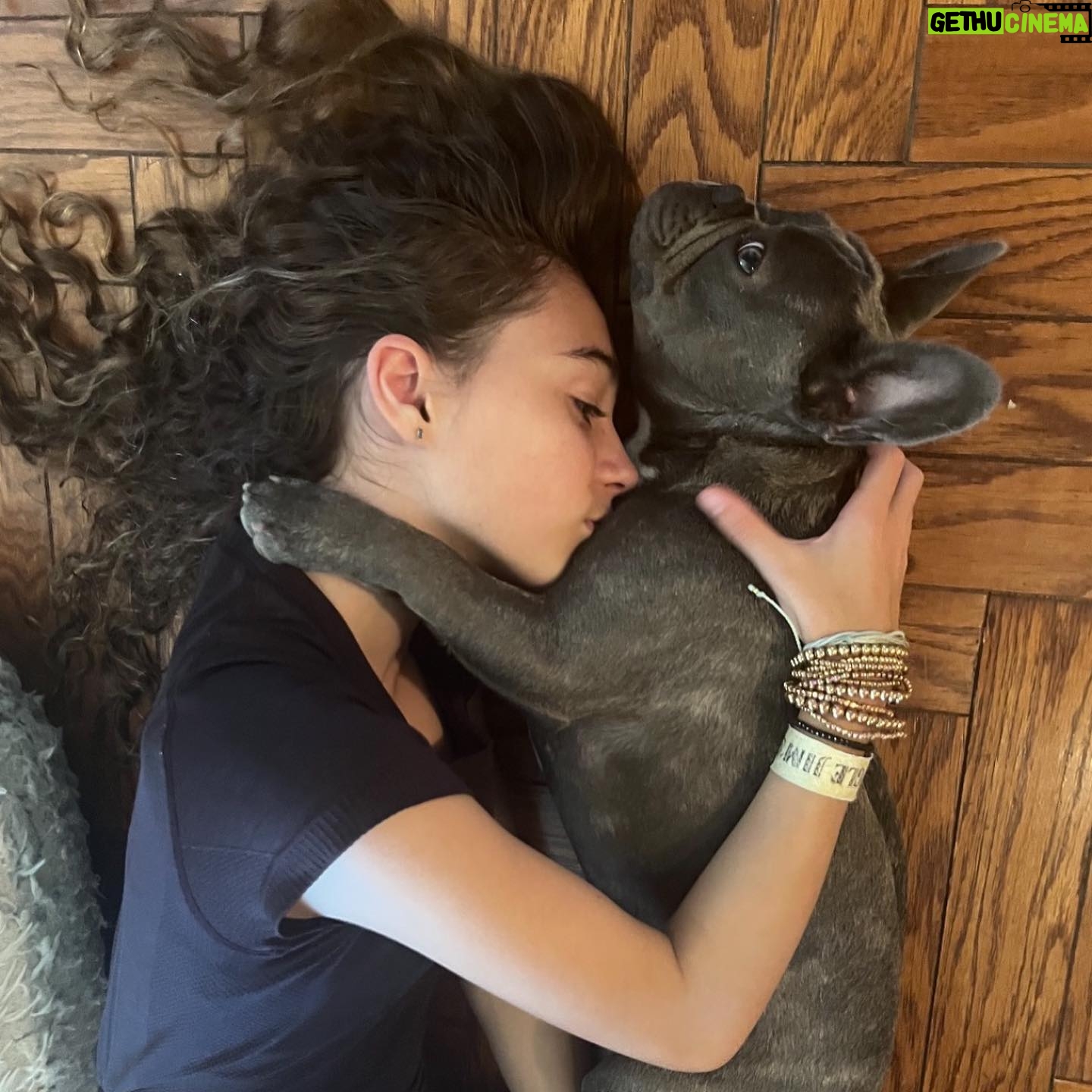 Alicia Minshew - 1.2K Likes - Hi! It’s been a bit. We have been busy falling in love with this guy @chumley_the_frenchie . It’s a full blown love affair. Willow and her pal. 🥰 #frenchielove