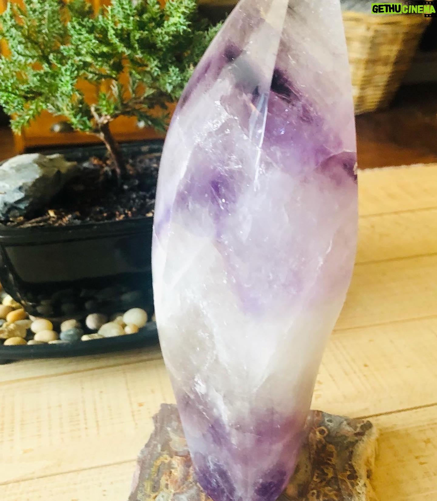Alicia Minshew - 1.9K Likes - I love a good bright sunny window to help my new crystals sparkle. ☀️Thank you @thesagegoddess for my beautiful labradorite necklace. It really brightens up my ratty old shirt (which I am going to burn)! 😬 Thank you also for the stunning chevron-amethyst. I can feel the zen in my home. We all need a little zen right now in this bananas world. ✨💫