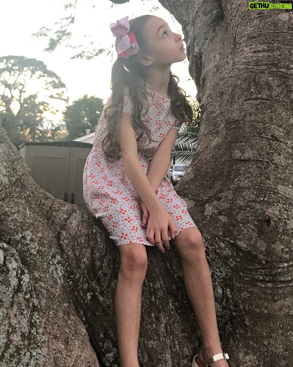 Alicia Minshew - 1.2K Likes - Little Miss Priss sitting in the tree. Legs for days. We love this tree behind my Mom's house in Florida. I grew up playing on this same tree as a kid. ❤️😍#misspriss #treeclimbing #florida #memories #mygirl