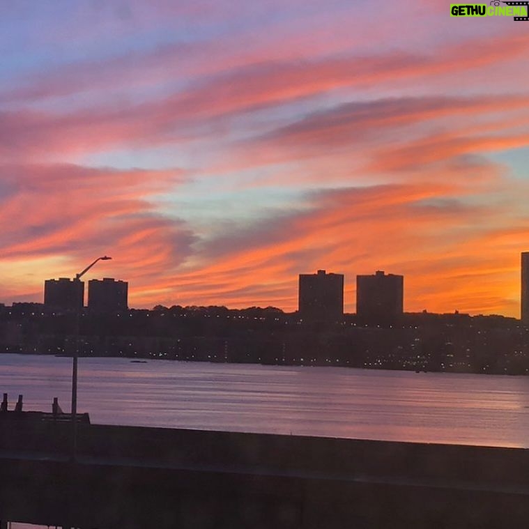 Alicia Minshew - 1.2K Likes - Willow wrote this during one of our walks. That is what is going on in her young mind. That’s all I got. #besafe .Next is our springtime sunset. #ilovenyc ❤️