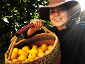 Alin Sumarwata Instagram - When life gives you lemons ...
You are one lucky bastard.
🍋🍋🍋🍋🍋🍋🍋🍋🍋🍋

#meyerlemons #citrus #life #biodynamic  #lockdown #round2 #staystrong #melbourne #detoxifyyourmindbodyandsoul #gethappy #getsunsunshine #getdirt #gyo #growyourown #lemon #winterharvest