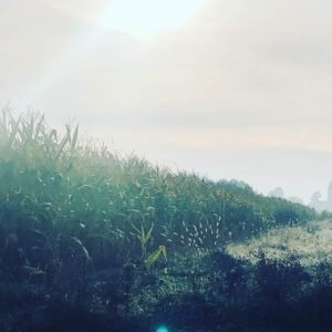 Alin Sumarwata Instagram - Monday Mementos⁣
⁣🌻
#onlocation #strikeback #today #firstlight #lastlight