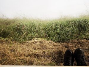 Alin Sumarwata Instagram - Monday Mementos⁣
⁣🌻
#onlocation #strikeback #today #firstlight #lastlight