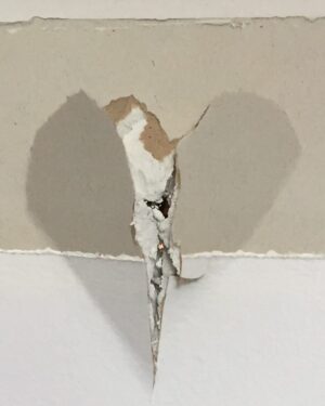 Aline Küppenheim Instagram - Demolición