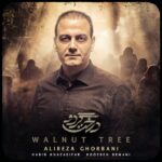 Alireza Ghorbani