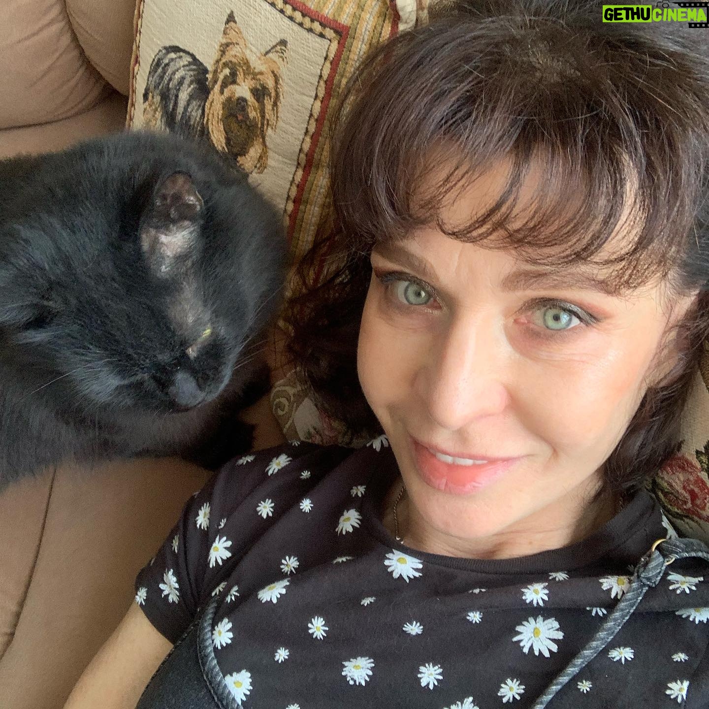 Alisa Mon - 1.8K Likes - Иди..ли ..я,...если бы не ОН?😻😍🤳🤗🤗🤗🤗🤗🤗🤗Кот мой,Кот!!!!💃....😸