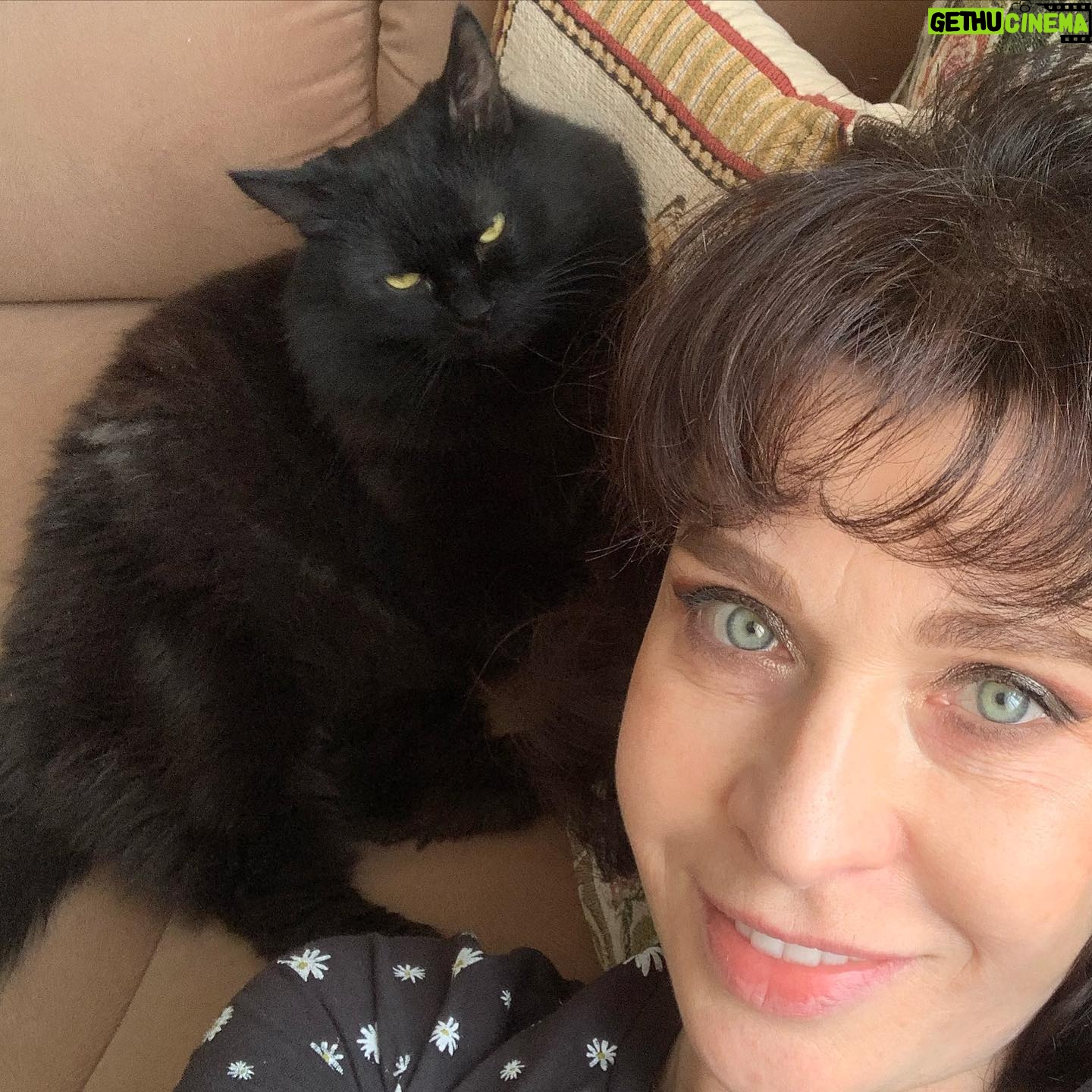 Alisa Mon - 1.8K Likes - Иди..ли ..я,...если бы не ОН?😻😍🤳🤗🤗🤗🤗🤗🤗🤗Кот мой,Кот!!!!💃....😸
