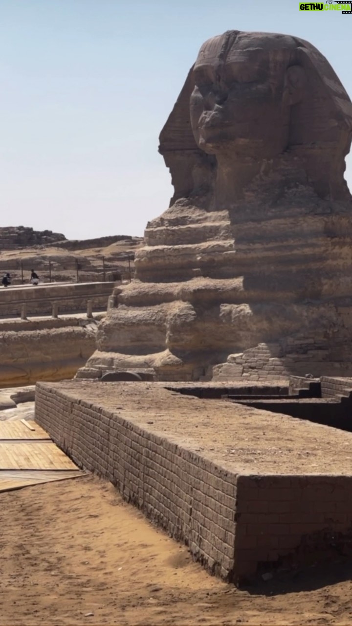 Alise Willis - 641 Likes - EGYPT, you are truly special. Anyone who knows me know it’s hard for me to pick a favorite of anything! Egypt is definitely at the top of the list of my favorite places I’ve visited. What a history lesson! I didn’t expect to learn so much. Everywhere we went we were welcomed home🥰 It was spiritual. It was beautiful. The fact I got to share this experience with my siblings- celebrating my brothers 30th birthday, made it extra special. I’ll hold onto these memories forever. I’m so fulfilled🇪🇬❣️🐫🗿👑🧕🏾
#Egypt
#cairo
#luxor
#tripofalifetime
#bucketlist
#brothersisterlove
#motherland
#africa
#terrillsdirtythirty
#aligned
#kingsandqueens