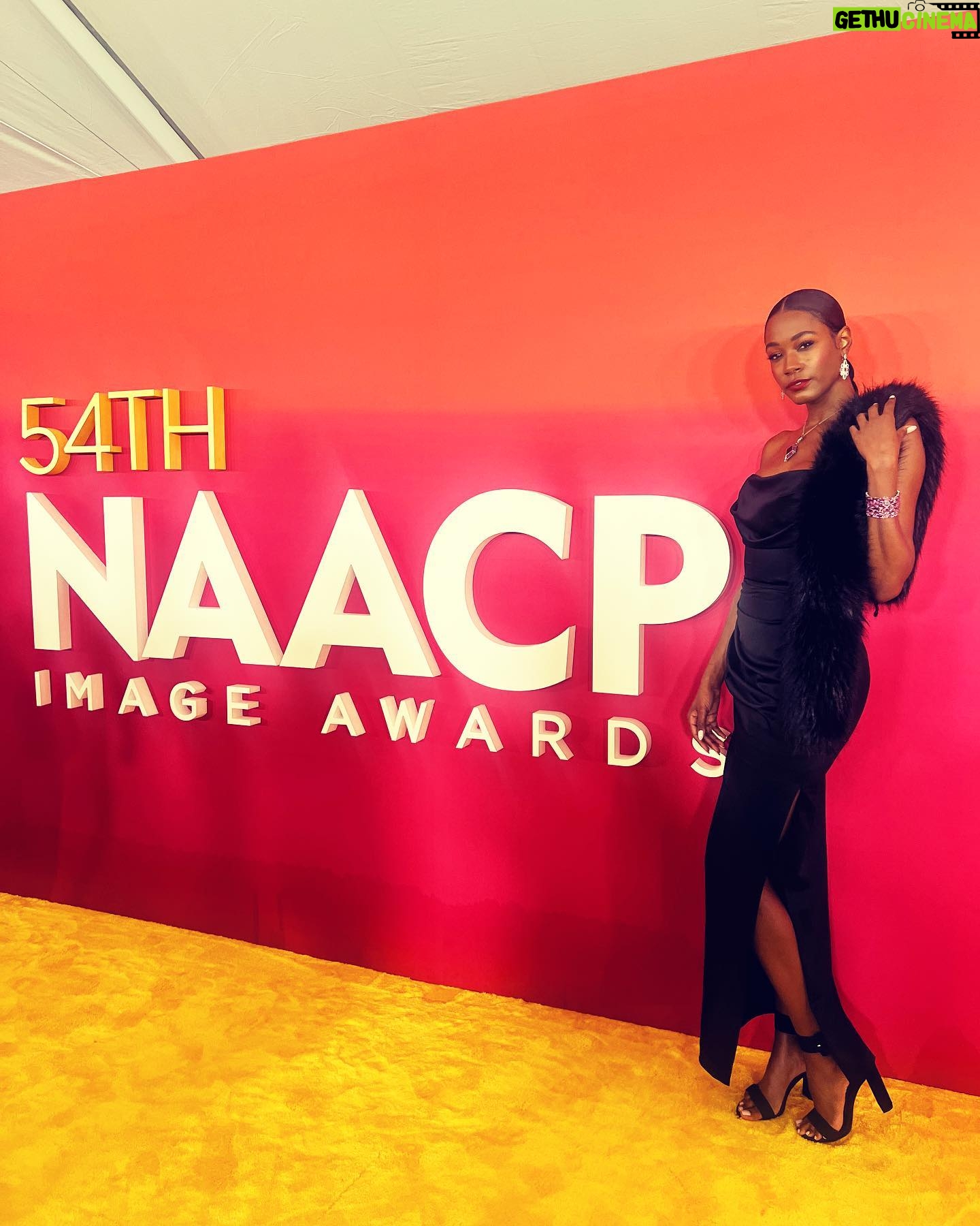 Alise Willis - 505 Likes - Thank you @naacpimageawards and @bet for a night to remember!
Surrounded by black excellence✨
The energy was magnetic.
Hair: @prettyfabhair
Makeup: @courtney_andrea_
#naacpimageawards #bet #awards #awardseason #naacp #black #blackexcellence #actress #chic #glamour #glam #ponytail #redcarpet #yellowcarpet #jewels