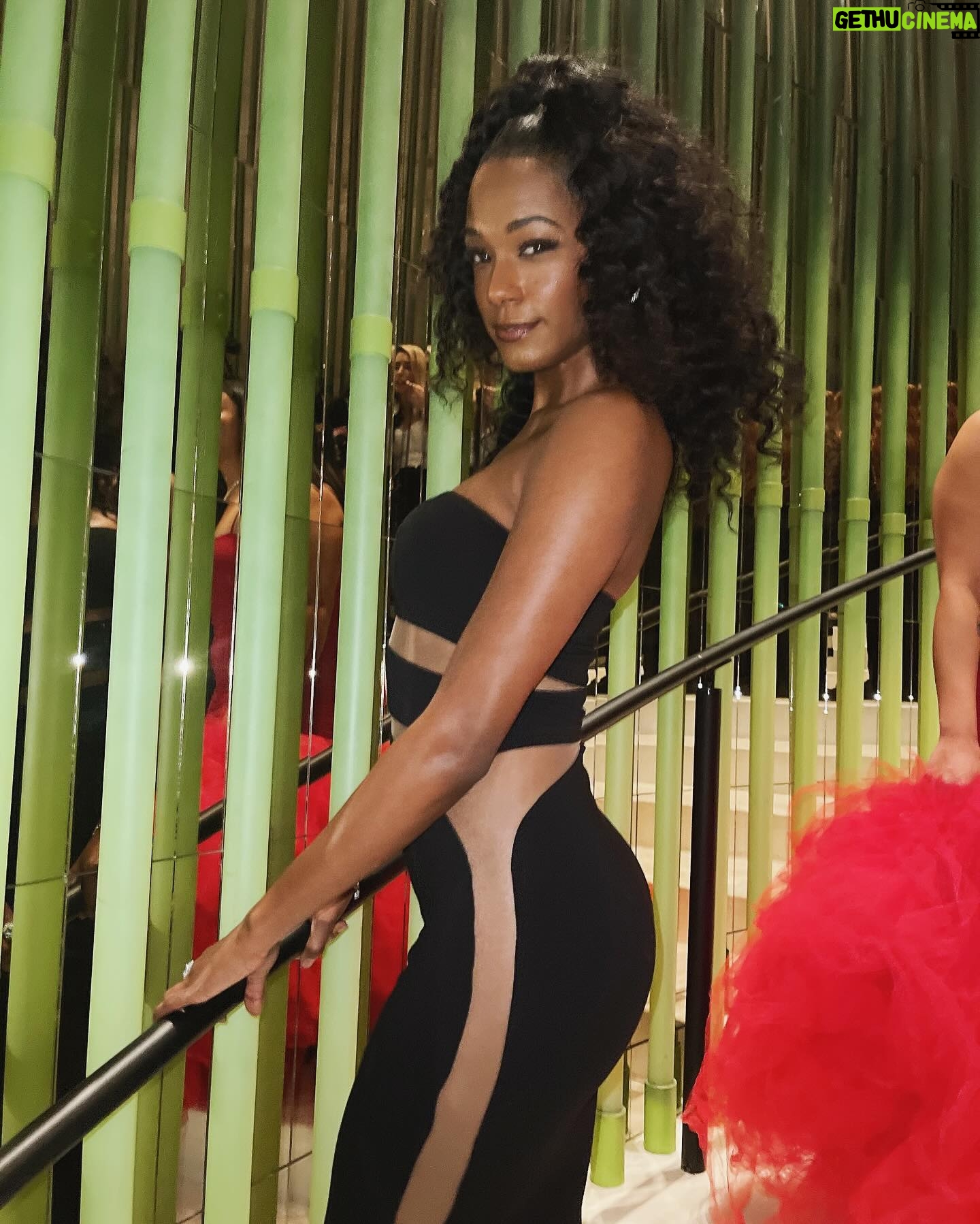 Alise Willis - 560 Likes - Pre-Oscar shenanigans❣️
#oscarweekend #losangeles #actress #redcarpet
📸- @fitzentertainment