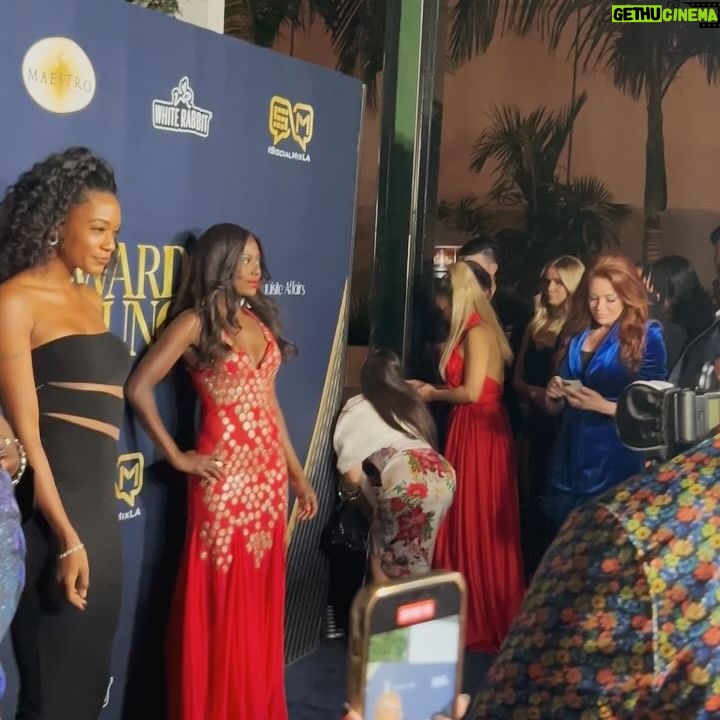 Alise Willis - 560 Likes - Pre-Oscar shenanigans❣️
#oscarweekend #losangeles #actress #redcarpet
📸- @fitzentertainment