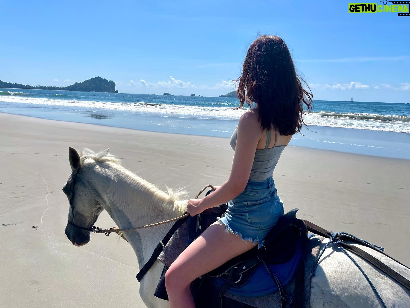 Alison Thornton - 1.2K Likes -