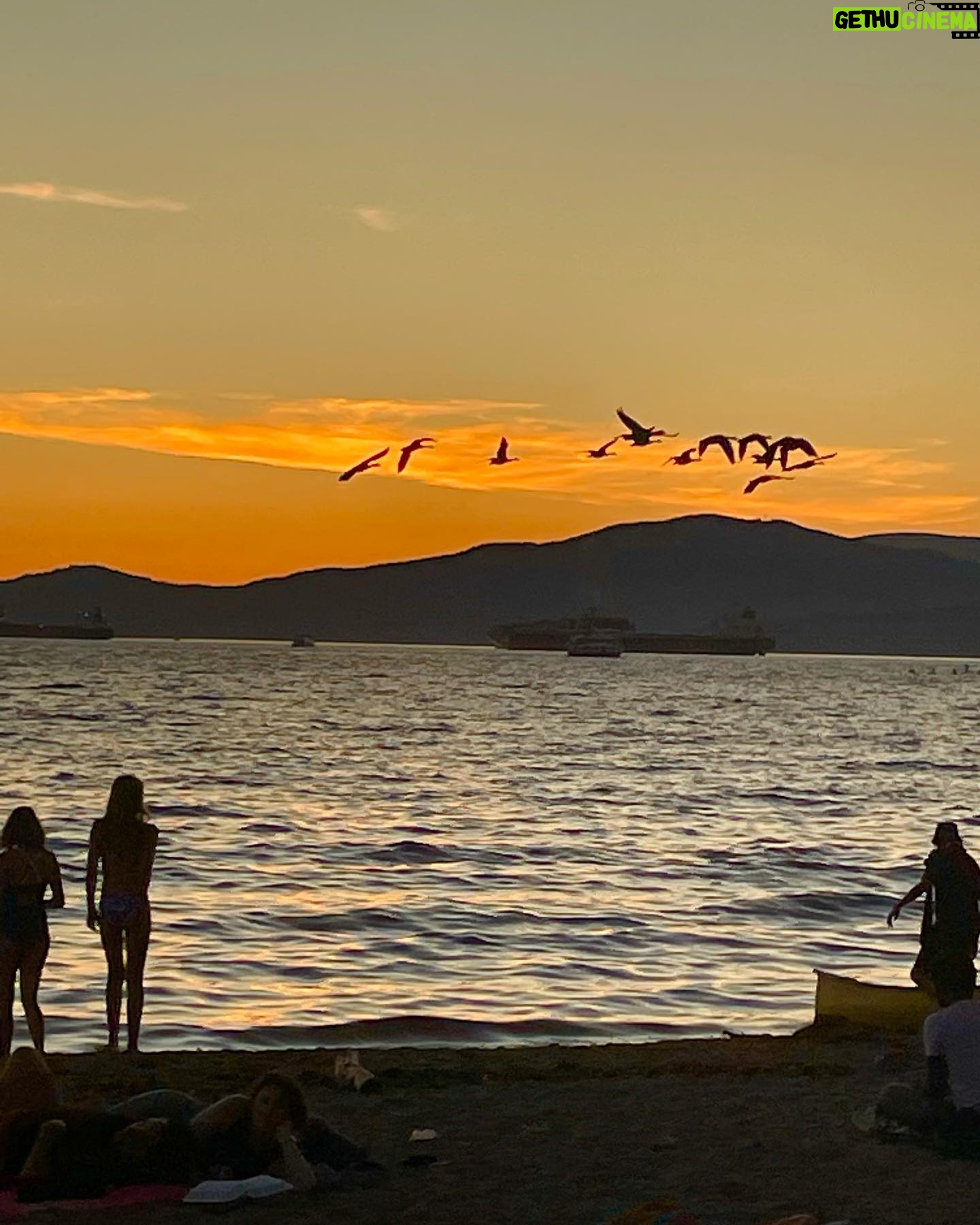 Alison Wright - 665 Likes - Last Sunset on Vancouver.
Iām forever changed by this place and my time here flew.
This Grinchās heart even grew a size or two š§” š§”
Itās a beautiful world out there . Iām so grateful I get to be in it.
#beautifulbc #onlocation #vancouver #2ndhome #travel #explore #dogmom