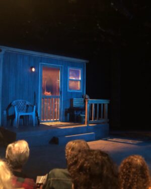 Allegra Edwards Instagram - The word is *stunned.* I was stunned by the language, the direction, the ensemble, and the immediacy of this play. I was stunned by the questions it posed and the buzzy queasy feelings it left with me. And above all, I was stunned by the depth and range and power and presence of my sister, Evangeline. She is a dynamo, a rocket launching. So grateful to witness her lift-off. GO SEE THIS SHOW. Heroes of the Fourth Turning is now playing at @roguemachinetheatre 📿
