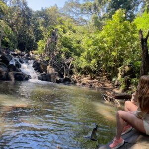 Allie Gonino Instagram - Nowhere I’d rather be this #earthday . One thing I learned this past year is that I need to prioritize time in nature. Where I often feel isolated and depleted in man’s world, I feel connected and energized in Gaia’s. How humbling to know that the planet gives everything to sustain us - and yet there is little we can do to give back to Her other than to praise her, shepherd her fragile ecosystems, and speak up for her rights on the world stage. She is proof that one can be full of spines and vines, shadows and venom, and possess unfathomable beauty. Beauty being reason for these survival mechanisms, after all. She doesn’t care about your business, your background, your status, your achievements, or your possessions; and yet, she can nurture you in ways these things cannot. She exists of her own accord and produces in abundance whether we show gratitude or not. She is a living, breathing, conscious, and remembering being. She is our lifeblood. Our shared reality while we exist on this plane. Let’s thank her for providing an incredible stage to carry out our human plays, and vow to treat her with more reverence than ever before. 🌈