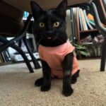 Allie Recks