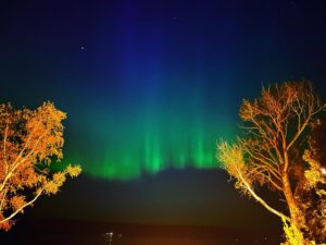Allison Miller Instagram - Witnessed the Northern Lights tonight and screamed a lot to myself. Minnesota is A .