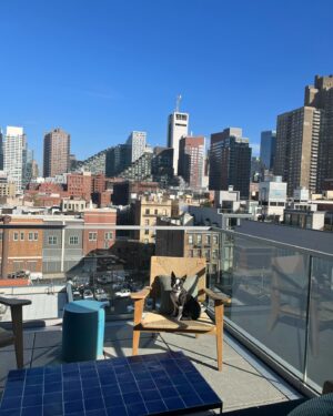 Allison Miller Instagram - We live here now.