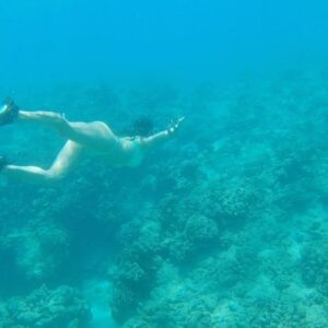 Allison Paige Instagram - Make every day Momma Earth Day 🌎
I recently got to play in Mother Earth’s waters of O’ahu. The heart of my inner child was entirely full. Let’s take better care of her y’all.
.
If you have a second on this earth day... head on over to @malamanahonu and make a donation of any size or adopt a turtle (like me!) to help with their mission to protect the beautiful sea turtles of Hawaii 🐢🌺☀️
.
Video credit @cunard_sam @ap_nist 👑 @alishaweave 
Song: No Diggity by @chetfaker
.
Also PSA never buy those snorkel helmets 😂 It is impossible to dive deep with them. But at least they look cool?