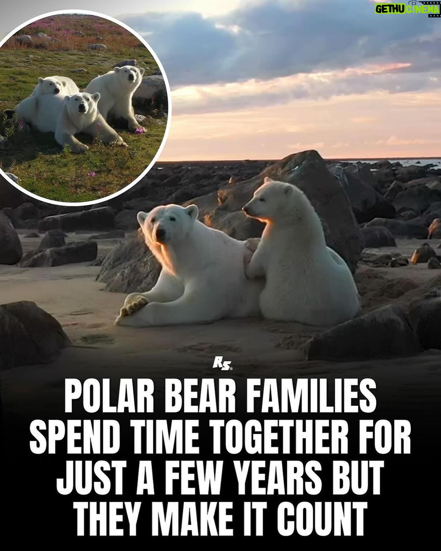 Ally Walker Gethu Cinema