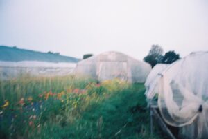 Almudena Amor Instagram - verano film