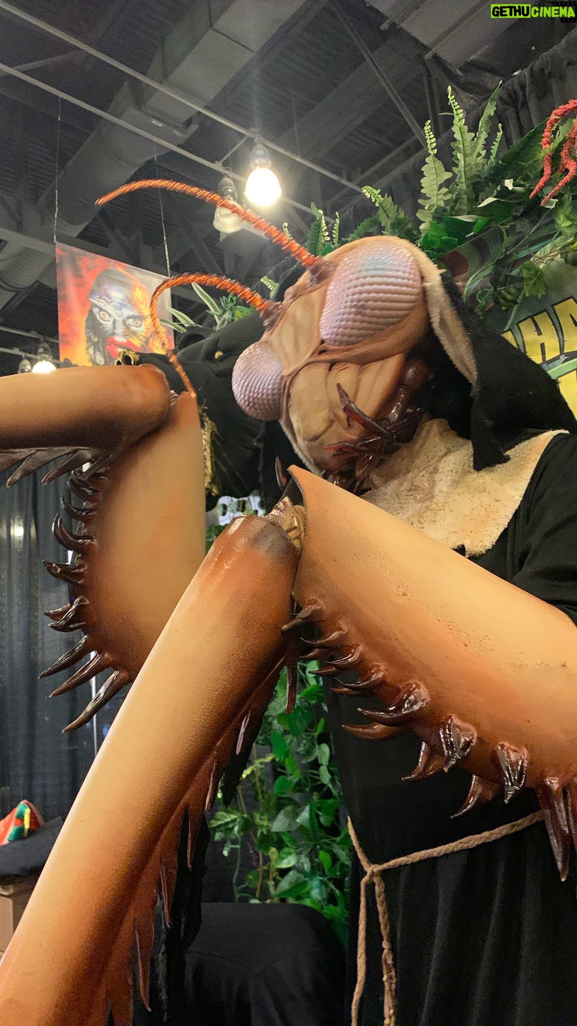 Alondra Excene Shields - 3 Likes - PRAYING MANTIS 🙏🏼
Had so much fun modeling this look for @gcsmasks booth on Sunday for @monsterpaloozaofficial !! I love getting to be the creature every once in a while.
Leave it up to Graham to come up with a perfect pun of a character!
@witch.book_ KILLED it on the costume and arms!
My favorite part was all the kids who wanted to take a picture with me! They’re all way cooler than I was at their age!
Until next year Palooza!
•
•
•
•
•
#monsterpalooza #monsterpalooza24 #prayingmantis #latexmask #creaturemodel #gcsfx #nun