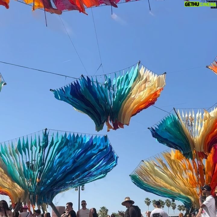 Alondra Excene Shields - 3 Likes - A time was had 💜 saw so many amazing bands and so many friends! Seeing No Doubt was unreal!
Will be back for weekend 2!
Come get a lemonade and say hi! 🍋
•
•
•
•
•
#coachella24 #justsqueezed