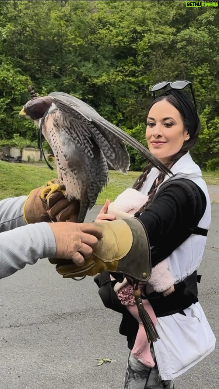 Aly Mang - 239 Likes - š¦
Falcons have been revered as messengers of the divineā¦
They represent vision, freedom & victory.
The falcon is often considered a symbol of focus, determination, and the ability to see the big pictureā¦.
Meeting a falcon & doing āFalconryā for Motherās Day (with Vivi strapped to me) feels like a special omen āSeeing my Athena owl was special too š¦ššš¼āØ
Much love today to to all the nurturers, multitaskers, godesses & creators -New beginnings ahead šš»āļøš @thebeginning_shortfilm
(PS- if anyone wants to shoot a movie or do a photoshoot (in an evening gown) holding a bird of prey, Iām your girl š #DreamRole #kingsandqueens)
#falcon #owl #hawk #falconry #badass #mamasday #horus #birdofprey #royalty #goddessvibes #ancientegypt #MyKindOfMothersDay #TimeToFly