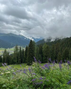 Amanda Wyss Instagram - A magical adventure. Switzerland with my family and visiting one of my dearest friends in Italy.  Planes, trains, cars, toboggans and miles and miles of walking. Some solo parts and lots of love everywhere. Grateful 💖 @lynette_reed_art @livelikealocalitaly 
#family #switzerland  #italy #bassanodelgrappa #venice #travel
