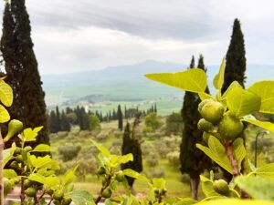 Amber Goldfarb Instagram - Tuscany. 
#tuscany #tuscancountryside #pienza #siena #vacation #italy #honeymoon