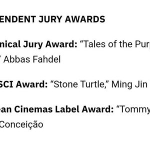 Amerul Affendi Instagram - Alhamdulillah filem #StoneTurtle dari Malaysia berjaya merangkul anugerah Fipresci di 75 Locarno Film Festival..

Pulang dengan kemenangan buat negara. Terima kaseh semua yang mendoakan 🙏🏽

#KerjaKampung
#HobiBerlakon