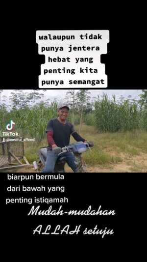 Amerul Affendi Instagram - Musim menuai sudah tiba! 📢🔊

Membangunkan ekonomi berkelompok anak muda di desa.. 

#KitaSemuaBossKitaJugaKuli
#Napier
#Silage
#KerjaKampung
#HobiBerlakon