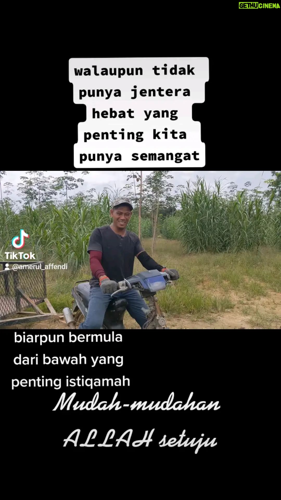 Amerul Affendi - 5K Likes - Musim menuai sudah tiba! 📢🔊
Membangunkan ekonomi berkelompok anak muda di desa..
#KitaSemuaBossKitaJugaKuli
#Napier
#Silage
#KerjaKampung
#HobiBerlakon