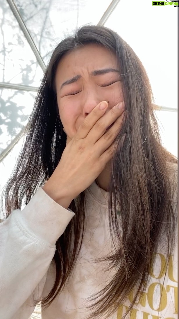 Ami Park - 1.4K Likes - People asked me how long it took just to get here..
5 years in LA, 4 years of BFA Acting Conservatory in Boston, 6 years of theater training in NY, and over 250 auditions and callbacks in between to finally book my first series regular on a TV show.
This win did not happen overnight.
There were so many tears when roles I thought were mine didn’t come my way.. can you relate?
There were so many endless nights wondering why it hadn’t worked out”, frustration overload not being able to see more AAPI talent on screen, and months of just patiently praying, releasing limiting beliefs, believing in myself, staying true to my vision manifesting the right role to align with me.
Now it really all made sense why those roles weren’t for me, or why the timing didn’t “work out” in the past. I had to get to know ME better, I had to HEAL so much of my own inner baggage, and the universe had other plans for me in the meantime- but I know this finally came at the perfect time. And I truly believe that what we seek, also seeks us 🥲✨
Please do not give up on your dreams✨
They are YOUR dreams for a reason.
If you can envision it, and feel it- it’s yours.
You are one day closer to seeing them come to life ✨
If you want to know how I really got deep into the manifestation of creating this alignment for myself, this is your *Last Chance* to join our 3-Day Women’s Retreat in Joshua Tree ✨🙏🏼 just TWO WEEKS AWAY
✨Release what’s not serving you
✨Reclaim the inner child you lost
✨Renew your belief system with manifesting MAGIC.
In just three days.. this is what you’ll receive:
🦋 Shadow Forgiveness work, Personalized healing integration with @tara.tigress through Reiki, Womb healing Animal Archetypes
🌱 Womb activation with @ami_park and manifesting your truest potential intuition through embodiment, aura readings, ecstatic dance, sacred rituals
🌸 Guided energy flow, understanding different styles of boundary work and chakra integration with @edenallegretti
☀️ Sound bath healing soul movement with energetic readings @jade_le
Learn about our other abundant offerings from Awakened Joy @awakenedjoycollective 🤍🦋
#onedaycloser