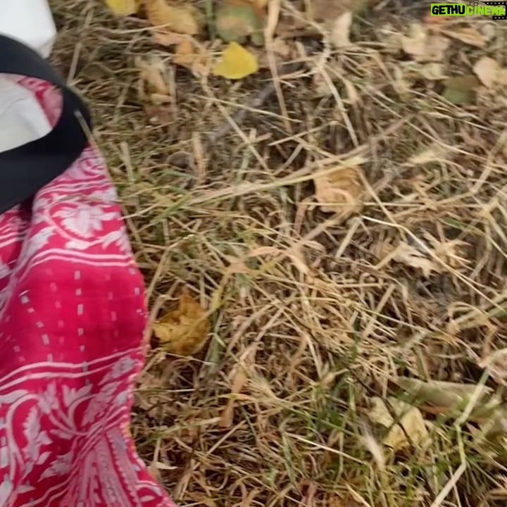 Ami Park - 750 Likes - Snippets of this season 🩵
(Swipe to see the lizard’s bombastic side eye 🦎🤣)