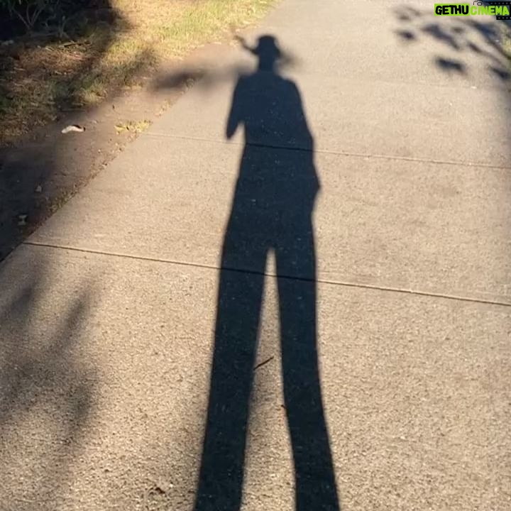 Ami Park - 2.3K Likes - AUGUST ☀️ you have been the best month. What an incredible, healing, abundant and expansive time with the best souls 🌿🌷🫐
3 things that’s made this month so far 💯:
1. Nature 🌱(different hikes, camping, berry picking, etc)
2. Amazing, aligned sisterhood 🙏🏼
3. Setting a consistent routine for myself and following through 🩵
I thought about the times in my life when I was experiencing consistent joy and abundance, and I realized these 3 examples were always a core part of it :) a little Monday reminder not bend or compromise on the things that makes us feel whole ✨
