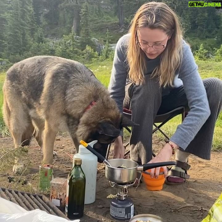 Ami Park - 2.3K Likes - AUGUST ☀️ you have been the best month. What an incredible, healing, abundant and expansive time with the best souls 🌿🌷🫐
3 things that’s made this month so far 💯:
1. Nature 🌱(different hikes, camping, berry picking, etc)
2. Amazing, aligned sisterhood 🙏🏼
3. Setting a consistent routine for myself and following through 🩵
I thought about the times in my life when I was experiencing consistent joy and abundance, and I realized these 3 examples were always a core part of it :) a little Monday reminder not bend or compromise on the things that makes us feel whole ✨