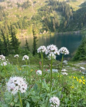 Ami Park Instagram - Couldn’t help but shed a tear or two looking at these magnificent views.. 

A weekend trip I will never forget 🥲🩵🏔️#washingtonstatebeauty #natureswonders