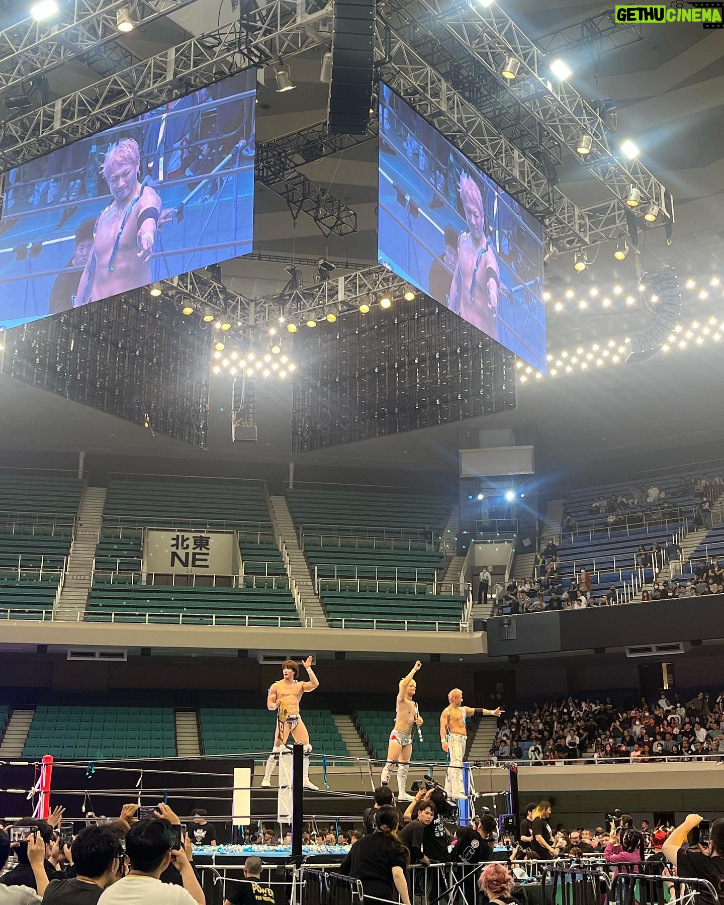 Ami Tomite - 3 Likes - ️ALLTOGETHER2024❤️
プロレスへの愛が深まった。。DDTからプロレスにハマって、スターダムもハマって、ノアと新日の魅力にもどっぷり浸かって、
どの団体も色が違って、でもこうやって一同集まったお祭りの時のムキムキレスラーたちが楽しんでやってるのがとても可愛くて癒された😭
ここからまた物語が生まれたので、引き続きプロレスを追いかけていきます!
プロレスLOVE🦊❤️
#alltogether #オールトゥギャザー #武道館 #プロレス #プロレスラー #プロレスリングノア #新日本プロレス #ddtプロレスリング #ドラゴンゲート #スターダム #プロレス観戦 #プロレスlove #プ女子 #ddtpro #ddtprowrestling #noah #prowrestlingnoah #newjapanprowrestling #njpw #prowrestling #prowrestler