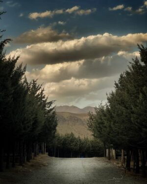 Amir Aghaei Instagram - این قصه را اَلَم باید ،
که از قلم هیچ نیاید.
#بايزيد_بسطامي