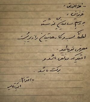 Amir Aghaei Instagram - 