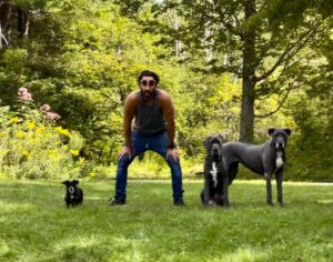 Amir Arison Instagram - Doggone Weekend. 🐾