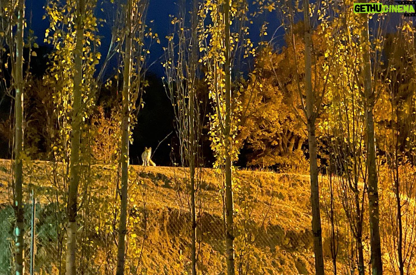 Amir Jadidi - 47.2K Likes - ما درین ره حجاب خویشتنیم
ورنه روی تو در برابر ماست
.
.
.
#طبیعت #کائنات
#nature# universe