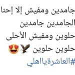 Amr Mahmoud Yassin