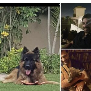 Amr Mahmoud Yassin Instagram - Rip Leo 💔😔