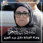 Amr Mahmoud Yassin