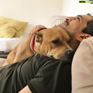 Amr Waked Instagram - Do you want a dog hug? My dog usually comes to give me a hug ❤️
Everyone please meet Bomba! She sends her hugs to you. #dogs #animals #companion #loveanimals #doghugs